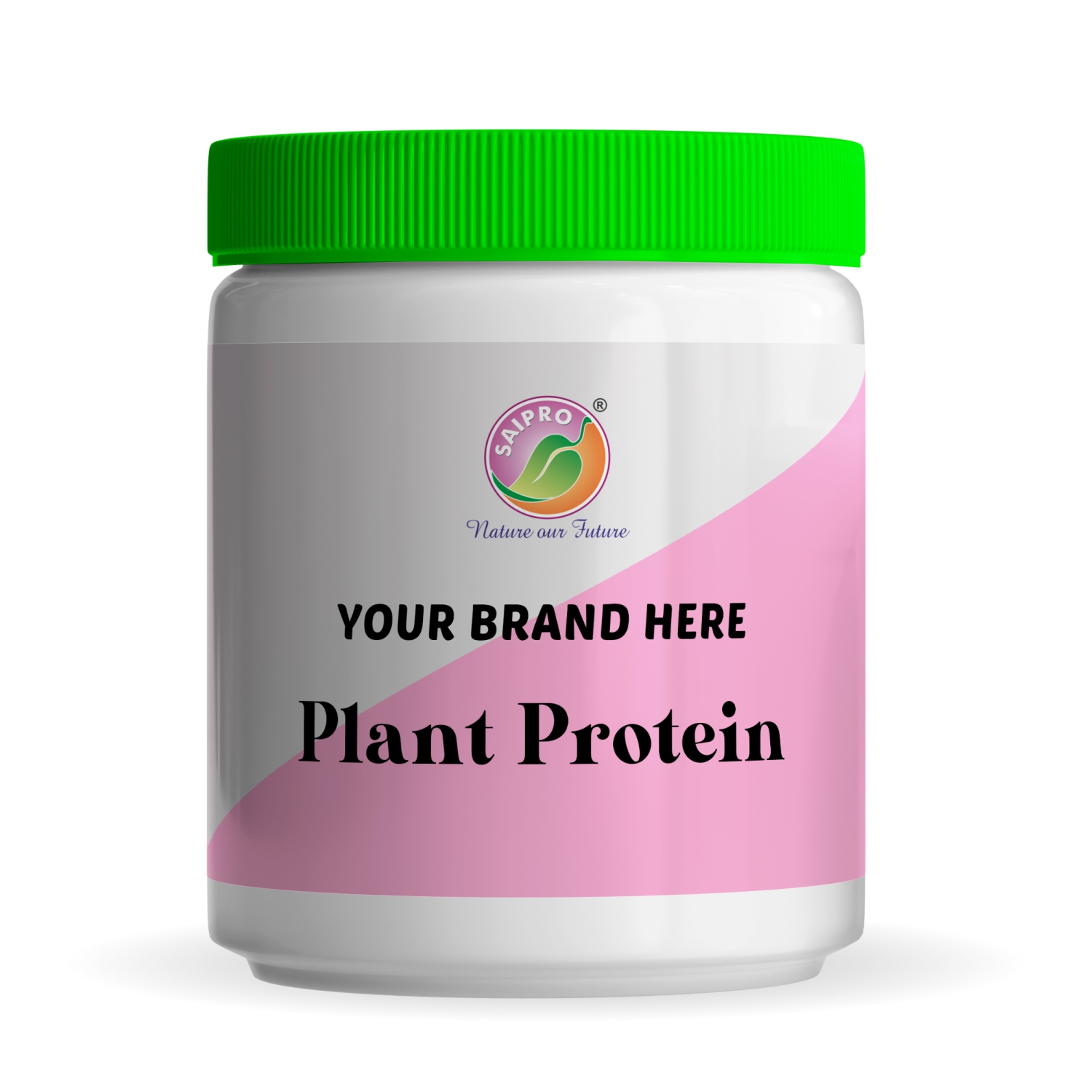 Plant Protein